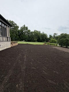 Before professional grass installation