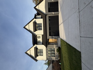 Lawn after sodding